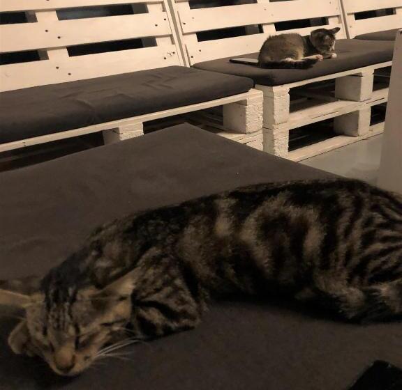 酒店 Rembulan Langkawi Guesthouse