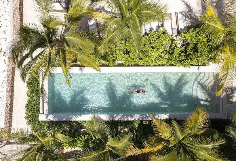 Passion Boutique Hotel Zanzibar   Adults Only