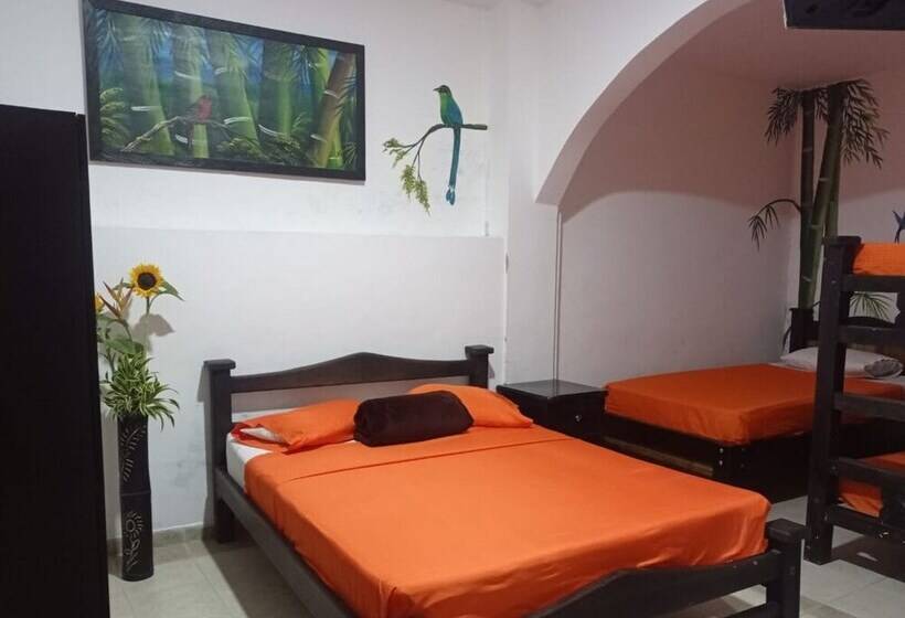 هتل Plaza Calarcá