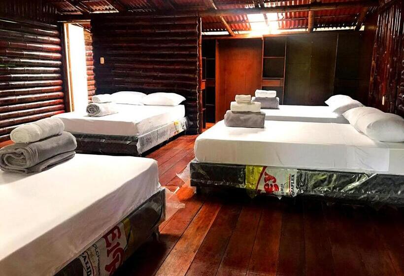 پانسیون Room In Lodge   Family Cabin With River View