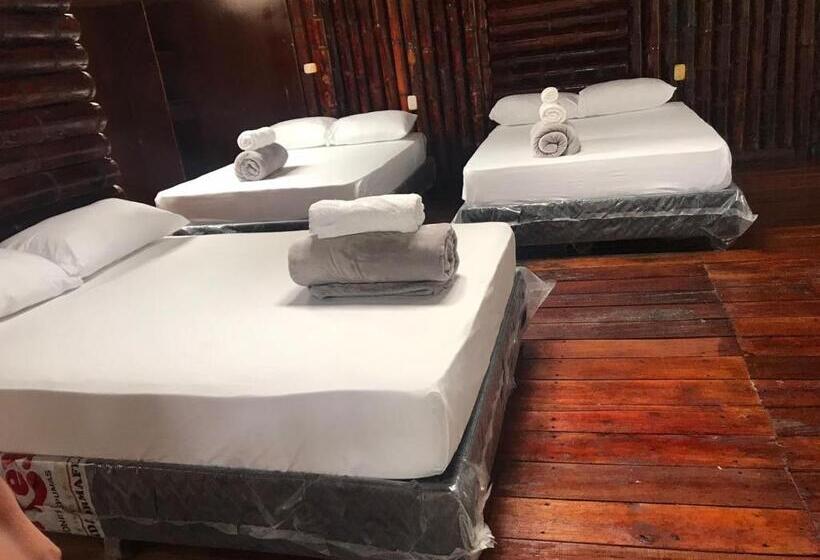 پانسیون Room In Lodge   Family Cabin With River View