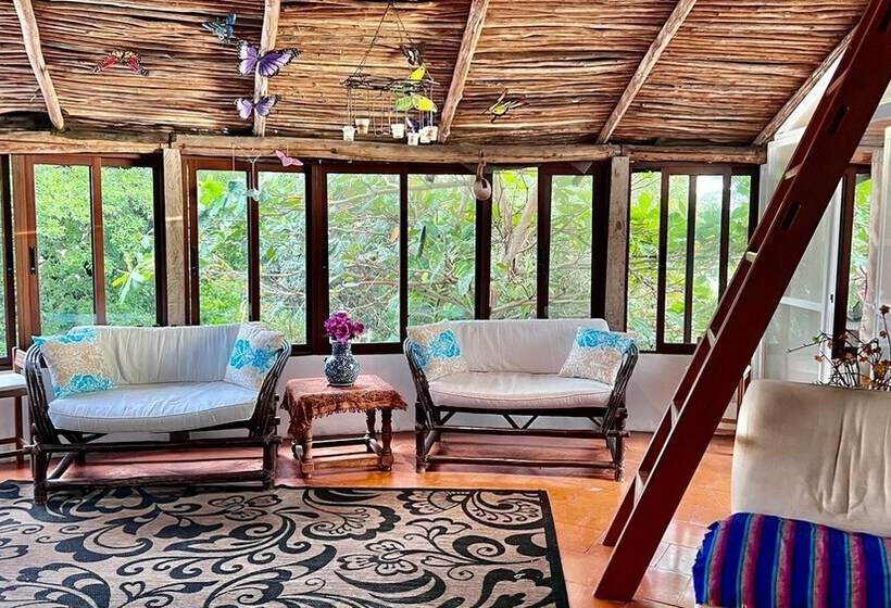 تختخواب و صبحانه Hippie Villa Cancun