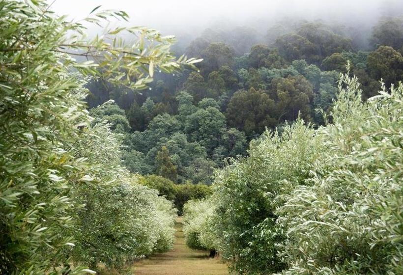 צימר Wanderers Cottage