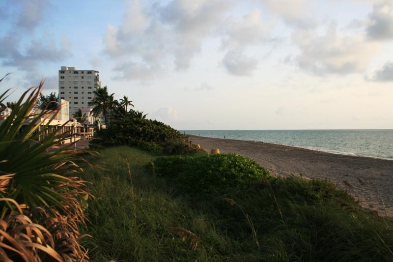 Отель Historic Hollywood Beach Resort