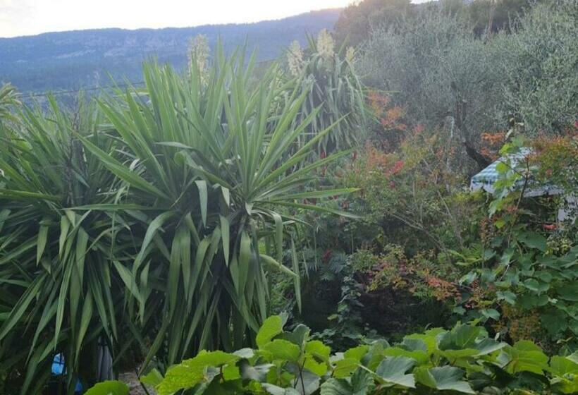 Bed and Breakfast Chambres D Hôtes Des Oliviers