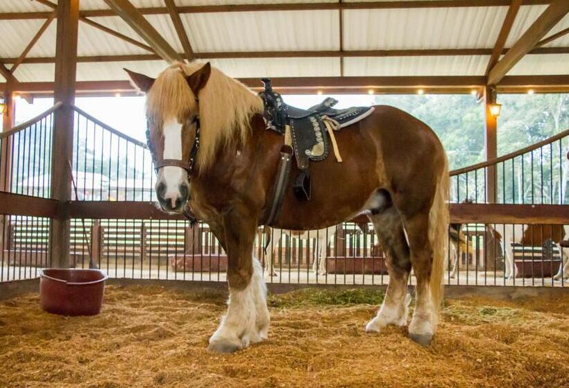 هتل Mesa De Los Santos