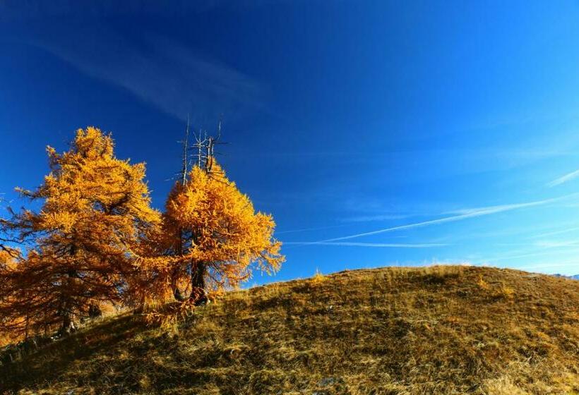 ベッドアンドブレックファースト Alpina Hotel Apartments