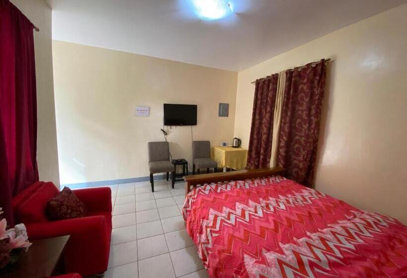 旅馆 Sn David Apartelle