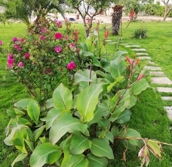 تختخواب و صبحانه Il Giardino Dei Tramonti