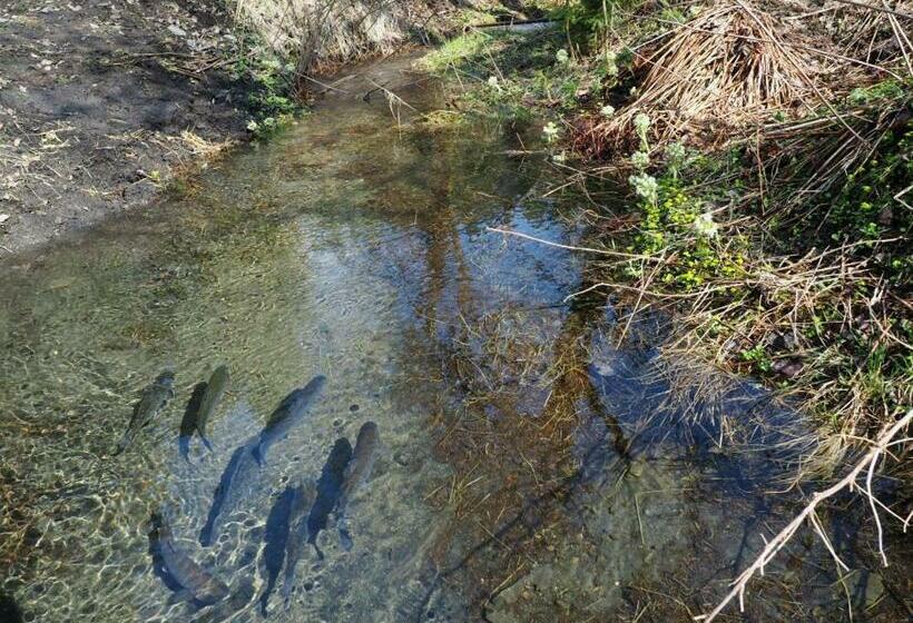 پانسیون Jezírko Lesní Restaurant & Penzion