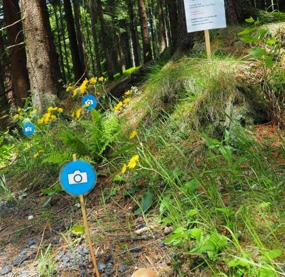 پانسیون Jezírko Lesní Restaurant & Penzion