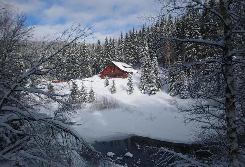 پانسیون Jezírko Lesní Restaurant & Penzion