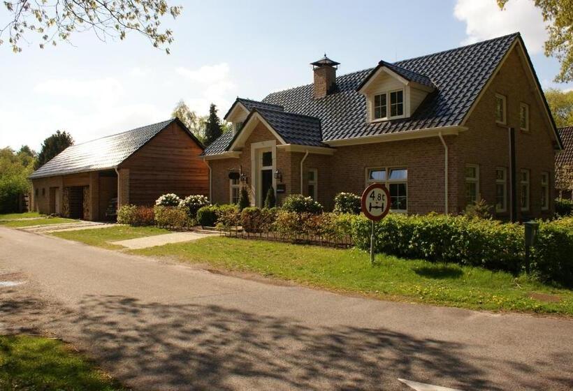 B&b Van Hunebed Naar Jullie Bed