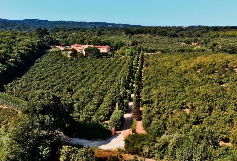 酒店 Agriturismo Montefosco