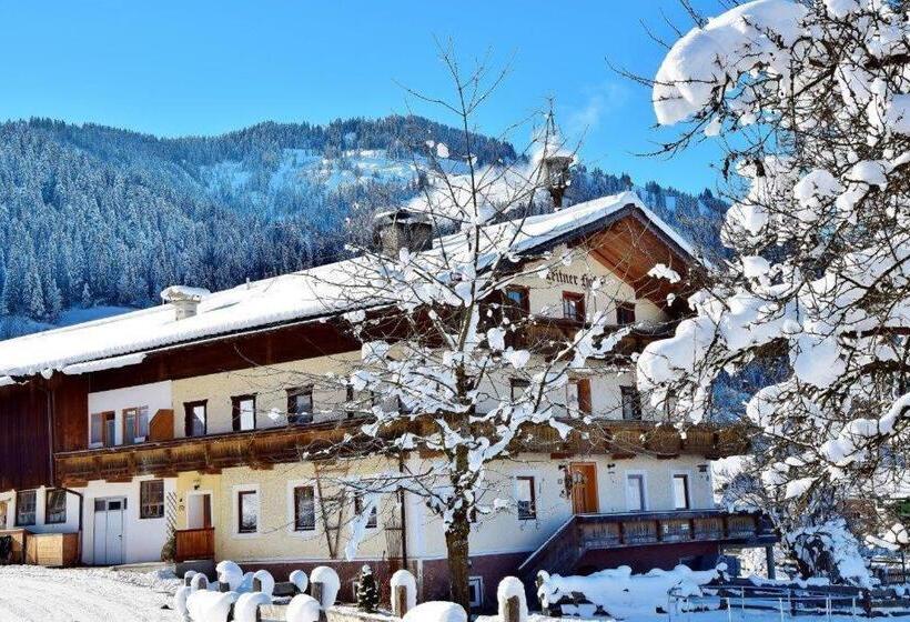 호텔 Leitnerhof