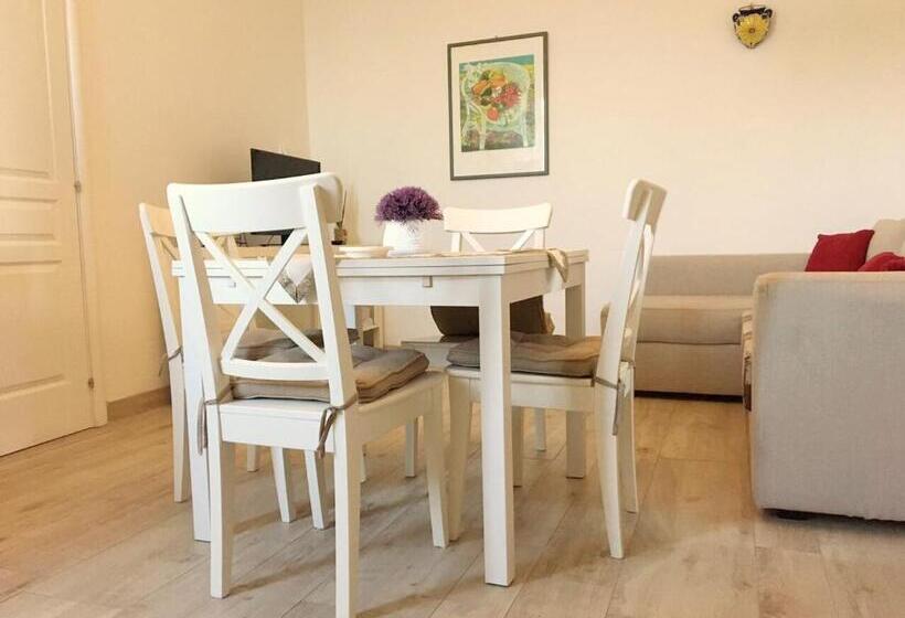 بنسيون Le Fiche D’india