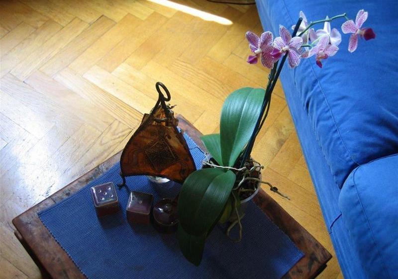 Bed and Breakfast Bed&Breakfast Maria-rosa Guesthouse