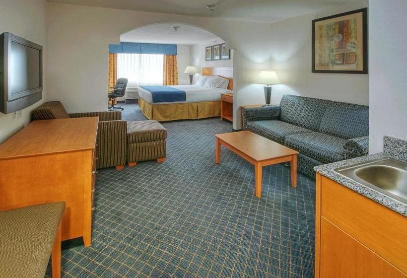 Отель Holiday Inn Express  & Suites Carlsbad