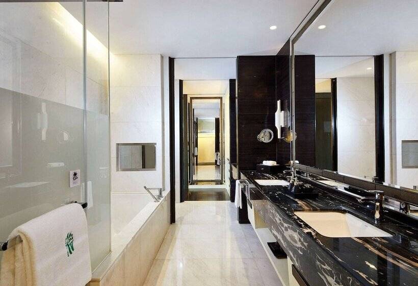 酒店 Banyan Tree Tianjin Riverside