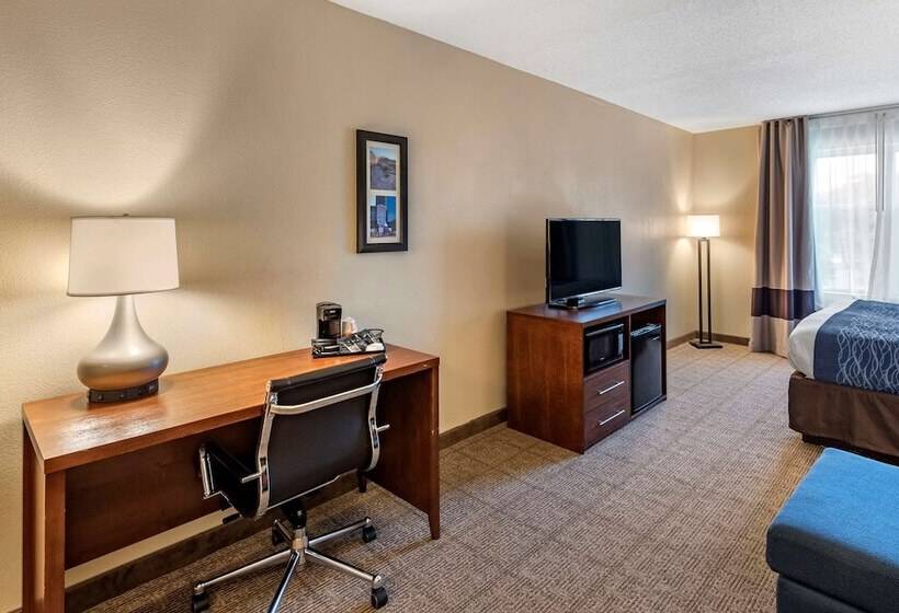 酒店 Comfort Inn & Suites Virginia Beach   Norfolk Airport