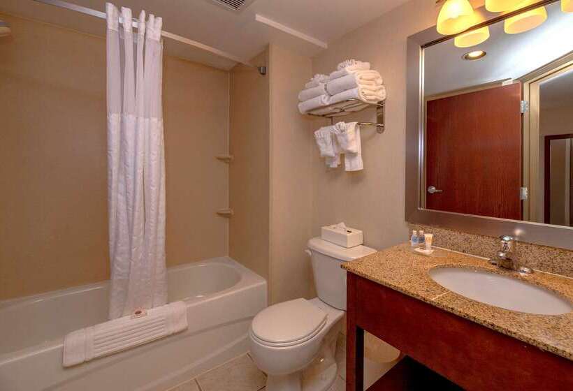 酒店 Comfort Inn Near Quantico Main Gate North