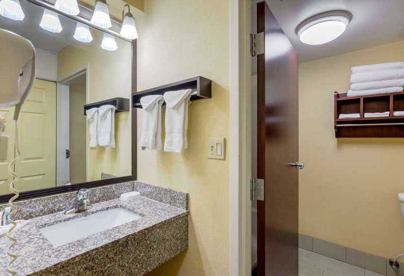 酒店 Comfort Inn & Suites Hillsville I77