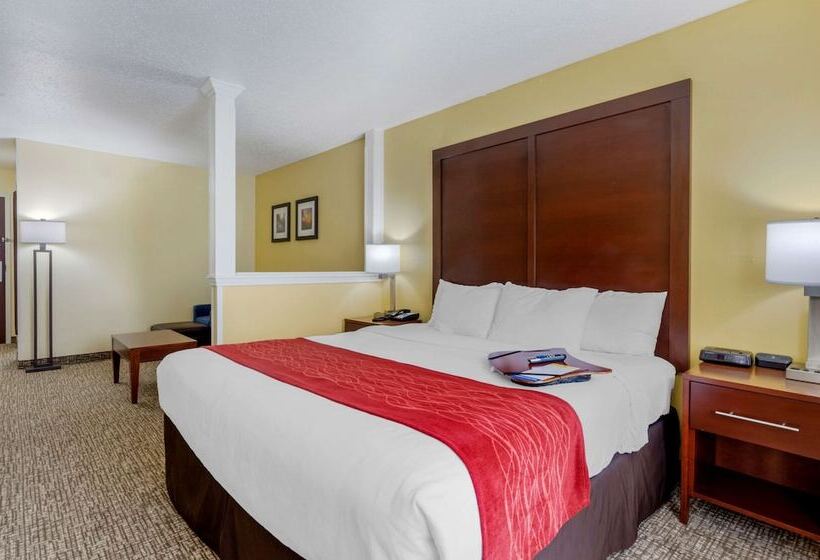 酒店 Comfort Inn & Suites Hillsville I77