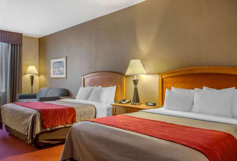 فندق Comfort Inn & Suites I 25 Near Spaceport America