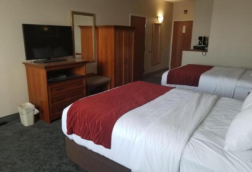 فندق Comfort Inn & Suites I 25 Near Spaceport America