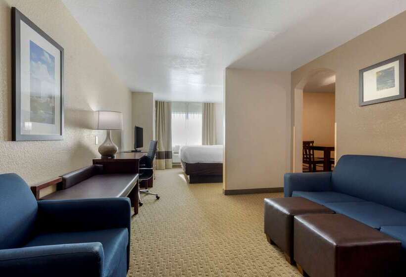 호텔 Comfort Suites