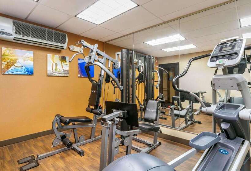 ホテル Comfort Suites Hopkinsville Near Fort Campbell