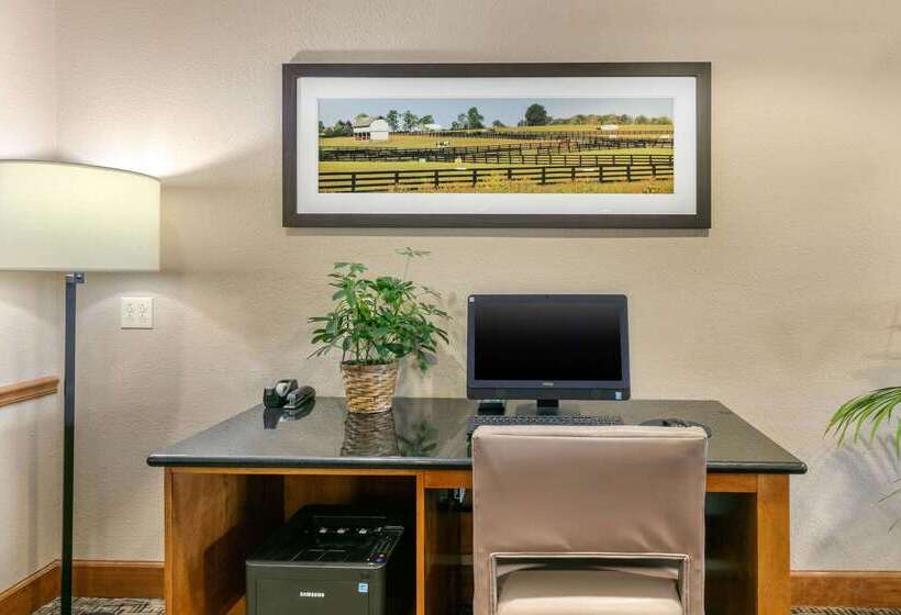 ホテル Comfort Suites Hopkinsville Near Fort Campbell