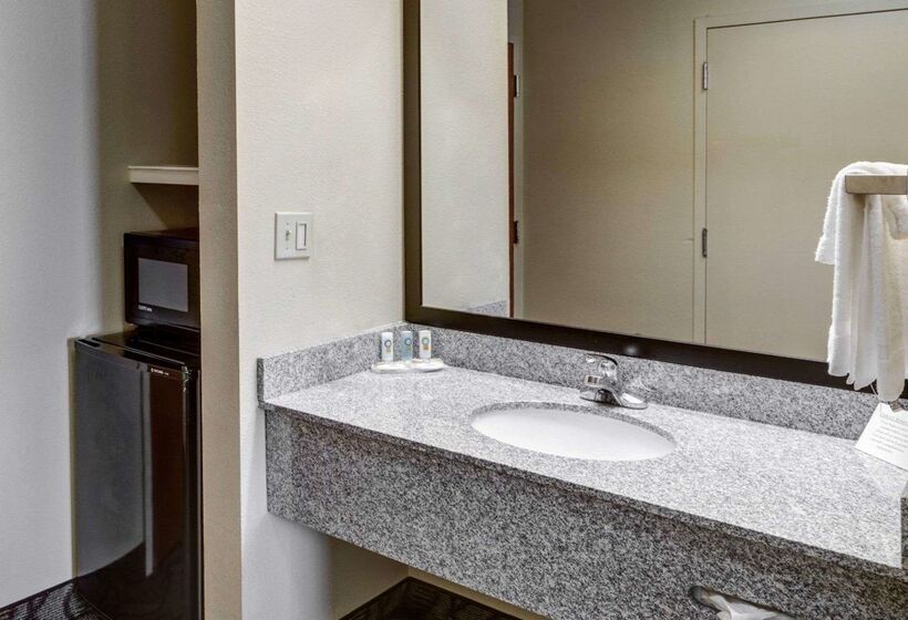 בית מלון כפרי Quality Suites Baton Rouge East  Denham Springs