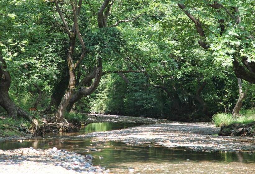 ホテル Thalatta Seaside