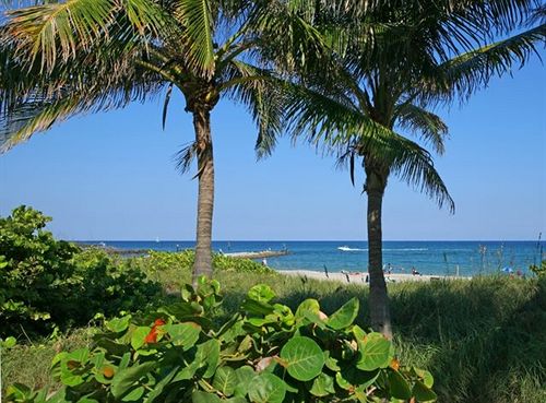 فندق Ventura At Boca Raton