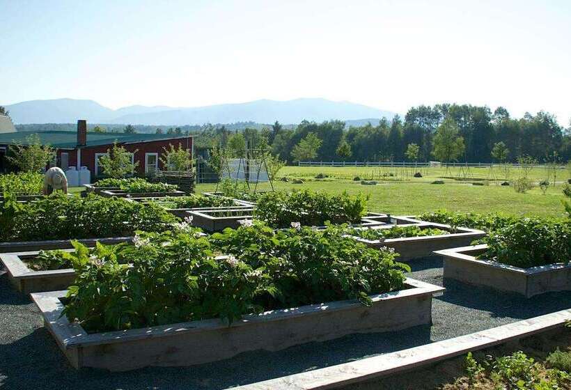 Mountain View Grand Resort & Spa