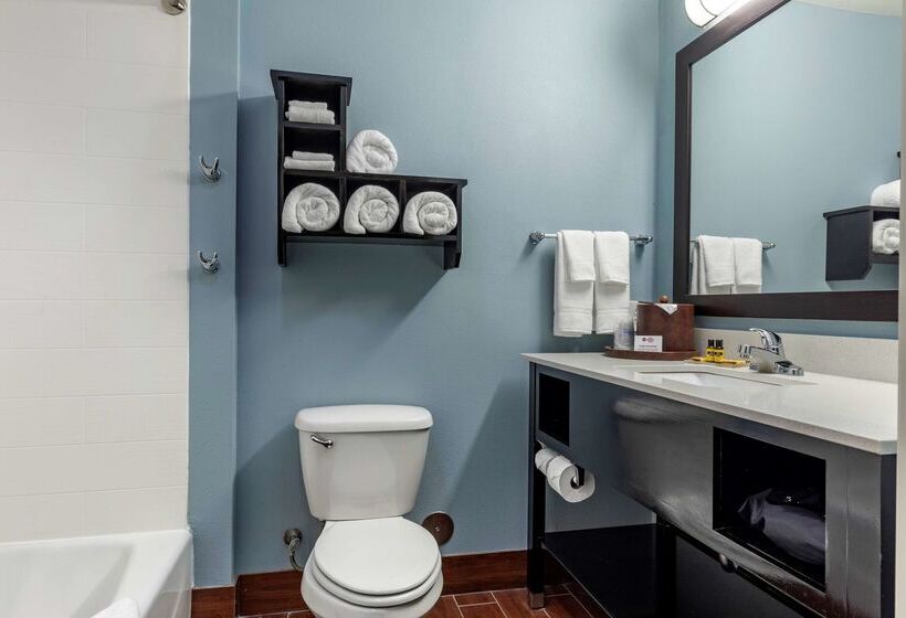 هتل Best Western Plus North Odessa Inn & Suites