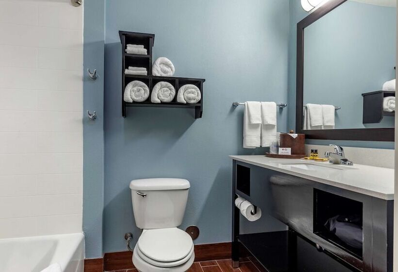 هتل Best Western Plus North Odessa Inn & Suites