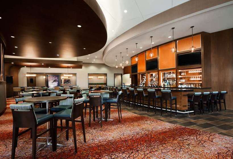 Отель Embassy Suites Springfield