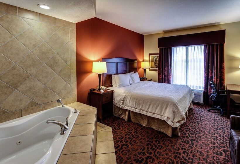 فندق Hampton Inn Junction City