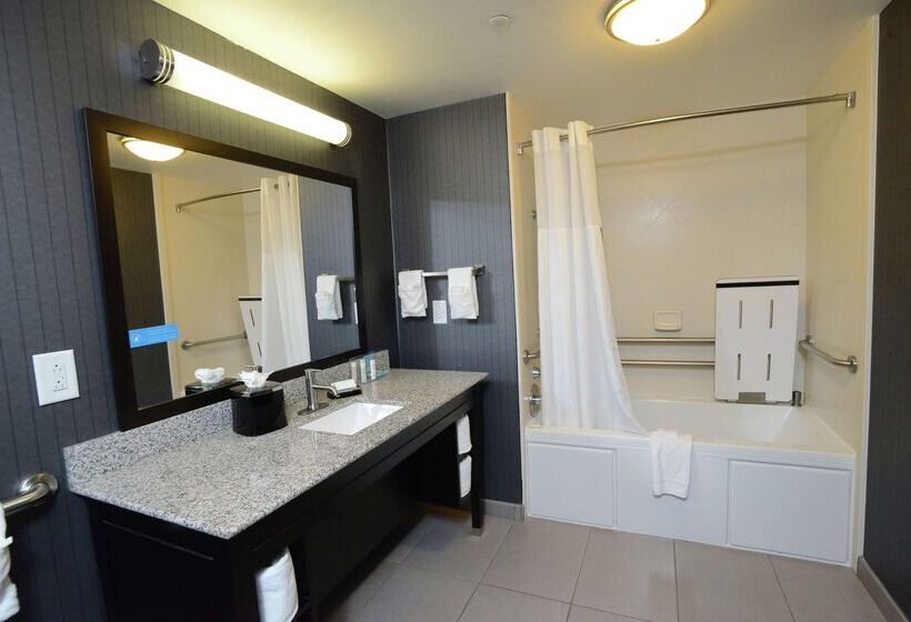 בית מלון כפרי Hampton Inn & Suites Albany At Albany Mall