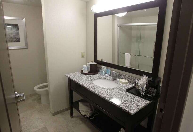 בית מלון כפרי Hampton Inn & Suites Senecaclemson Area