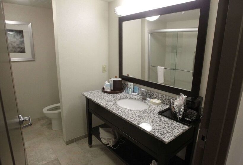 בית מלון כפרי Hampton Inn & Suites Senecaclemson Area