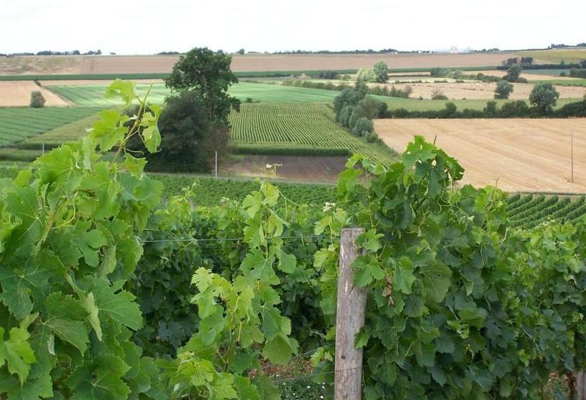 בית מלון כפרי Château De La Sebrandière