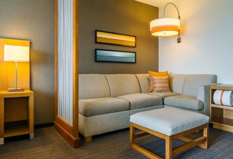 هتل Hyatt Place Los Cabos