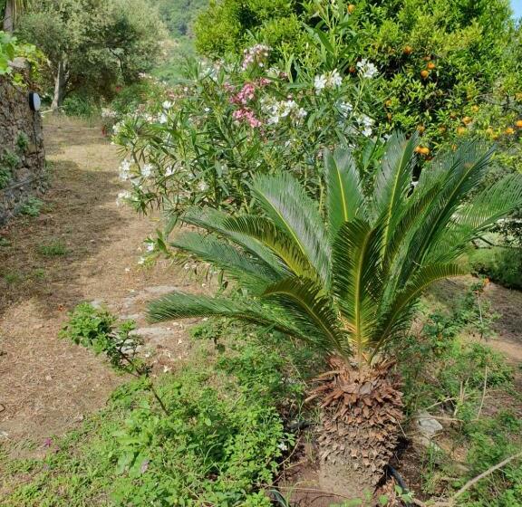 منتجع Borgo San Francesco