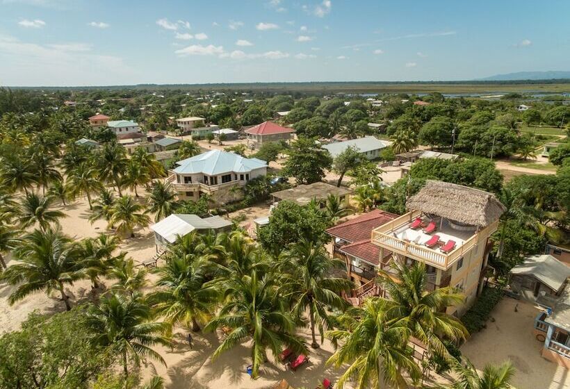 فندق Buttonwood Belize