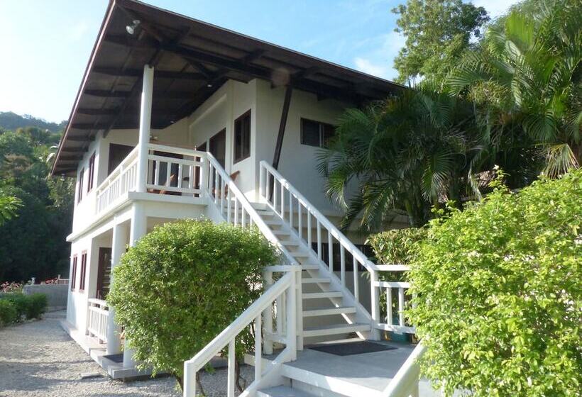 ホテル Palm Beach Resort