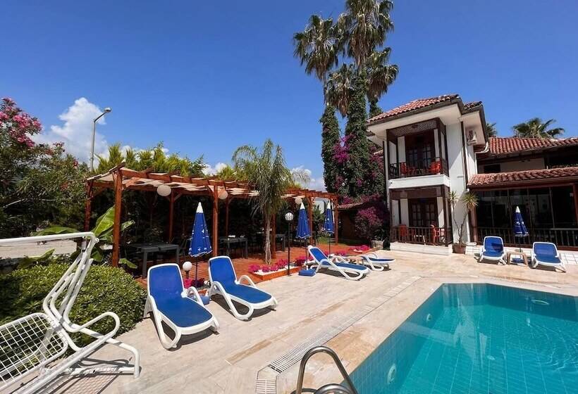 تختخواب و صبحانه Palma Rosa