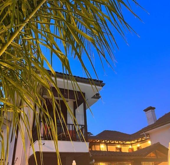 تختخواب و صبحانه Palma Rosa